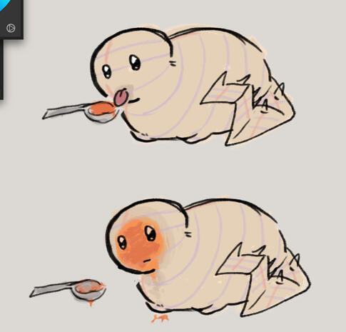paper